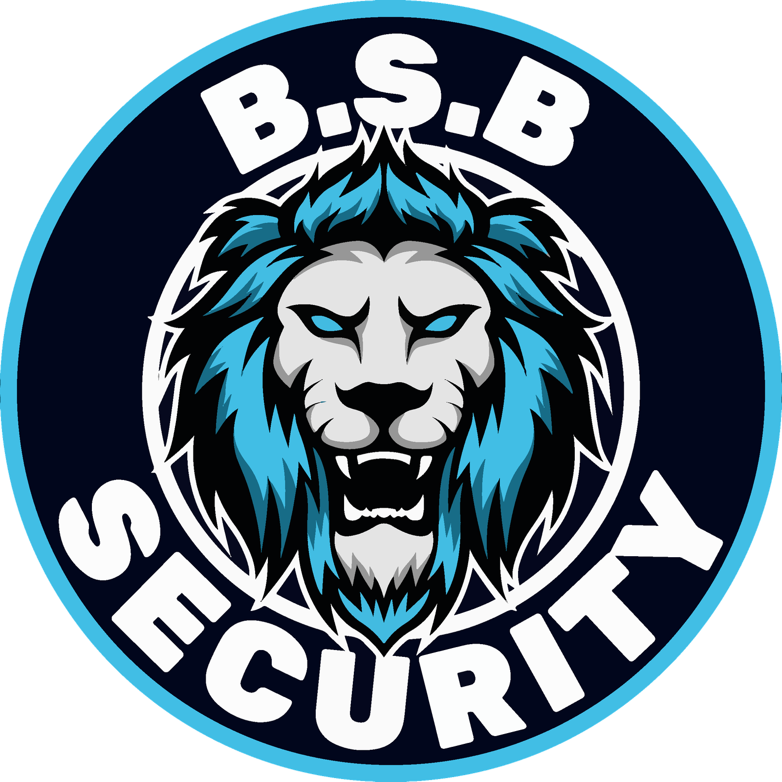 logo bsb