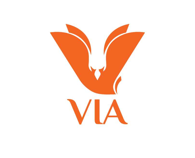 via logo orange 01